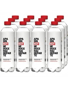 Bax Apa Plata 12 x 0.5L