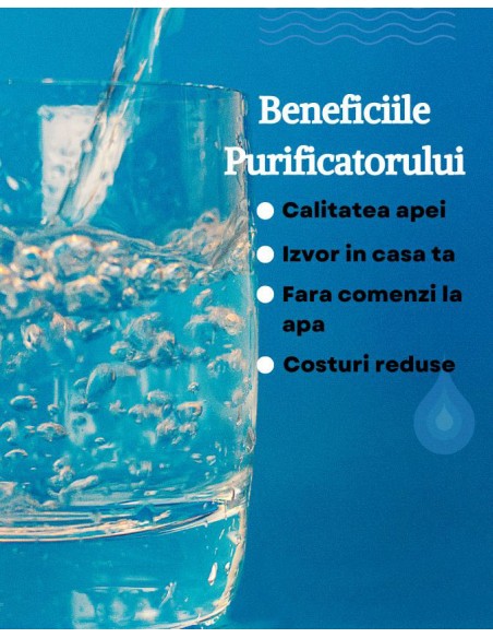 Instalare Purificator