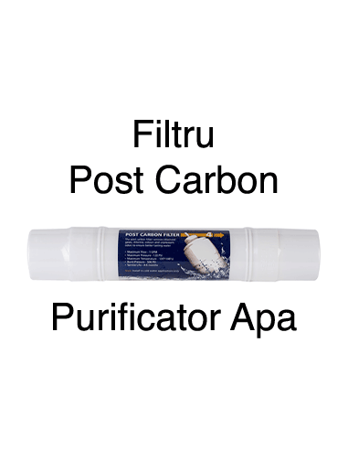 Filtru Post Carbon Y
