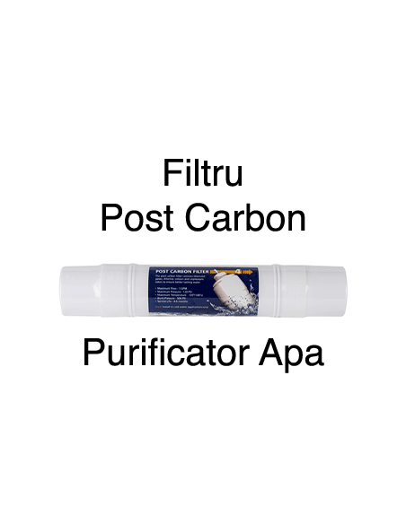 Filtru Post Carbon Y